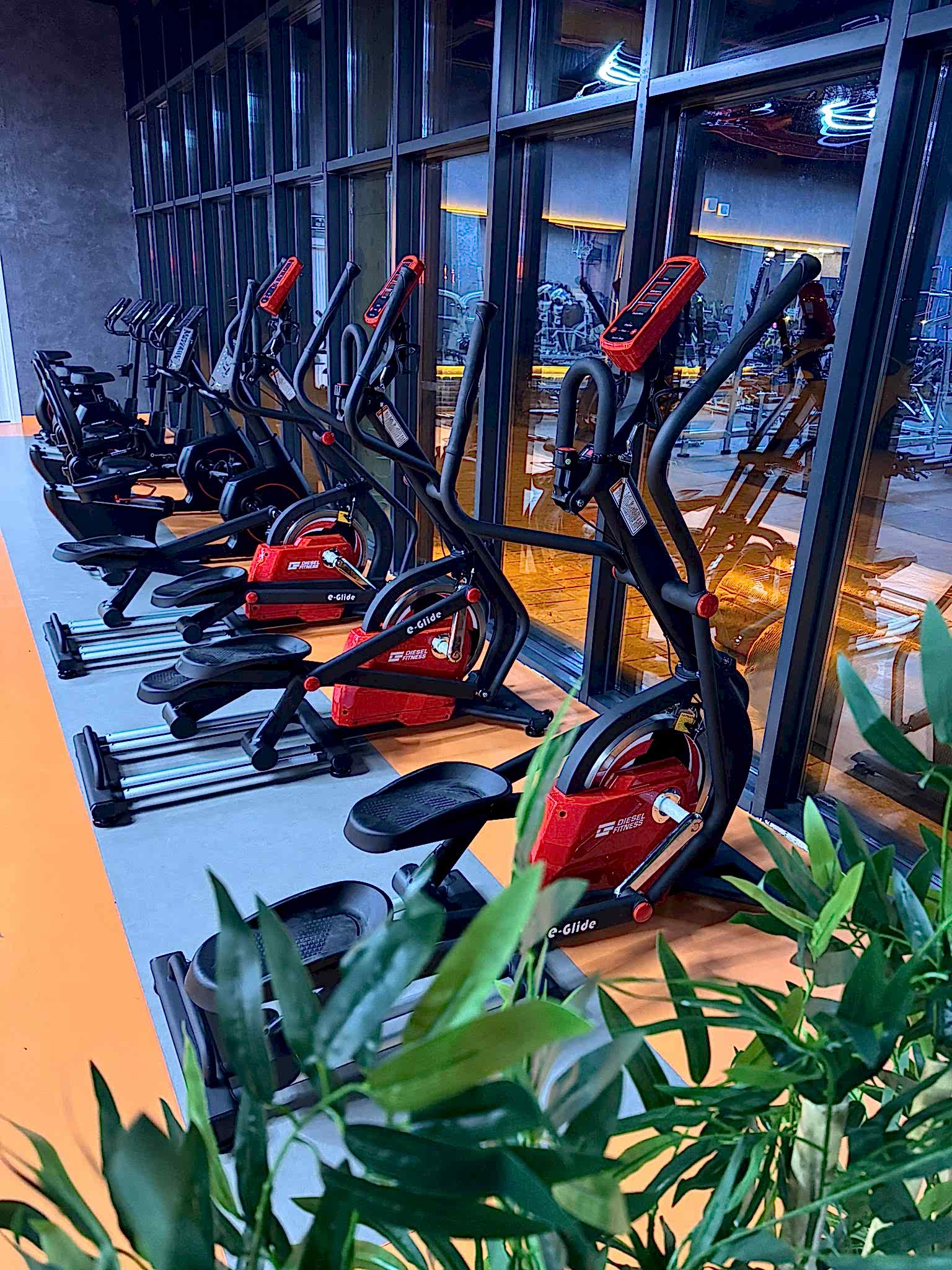 Momentum Fitness - Serbest Ağırlık Bölümü